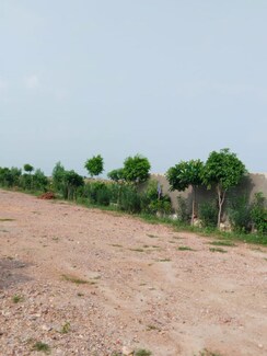 Plot For Sale in Amolik Aster Woods