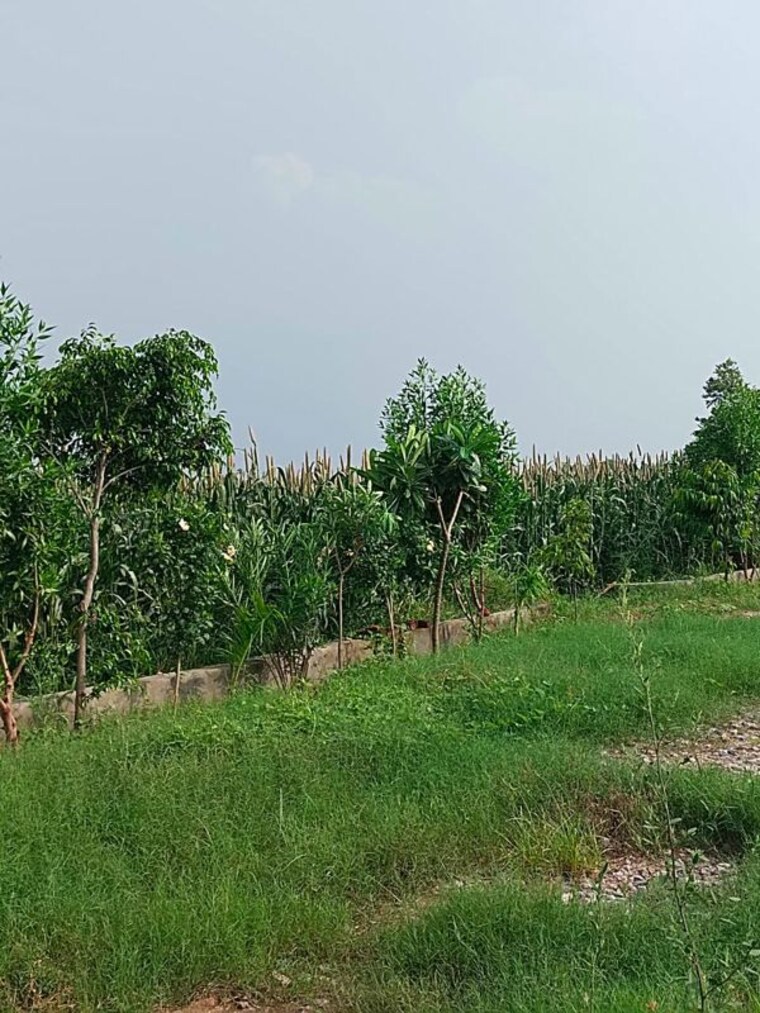 undefined, amolik-aster-woods  101 Sq.Yd. Plot In Sector 98 Faridabad 10098651