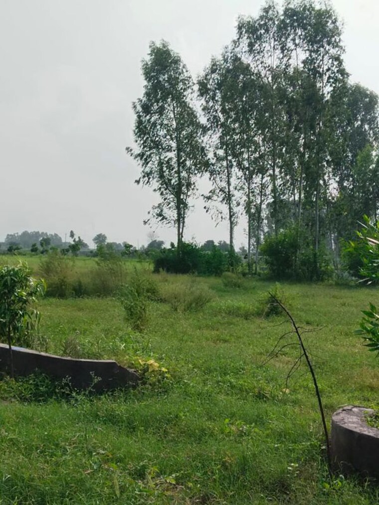 undefined, amolik-aster-woods  101 Sq.Yd. Plot In Sector 98 Faridabad 10098651