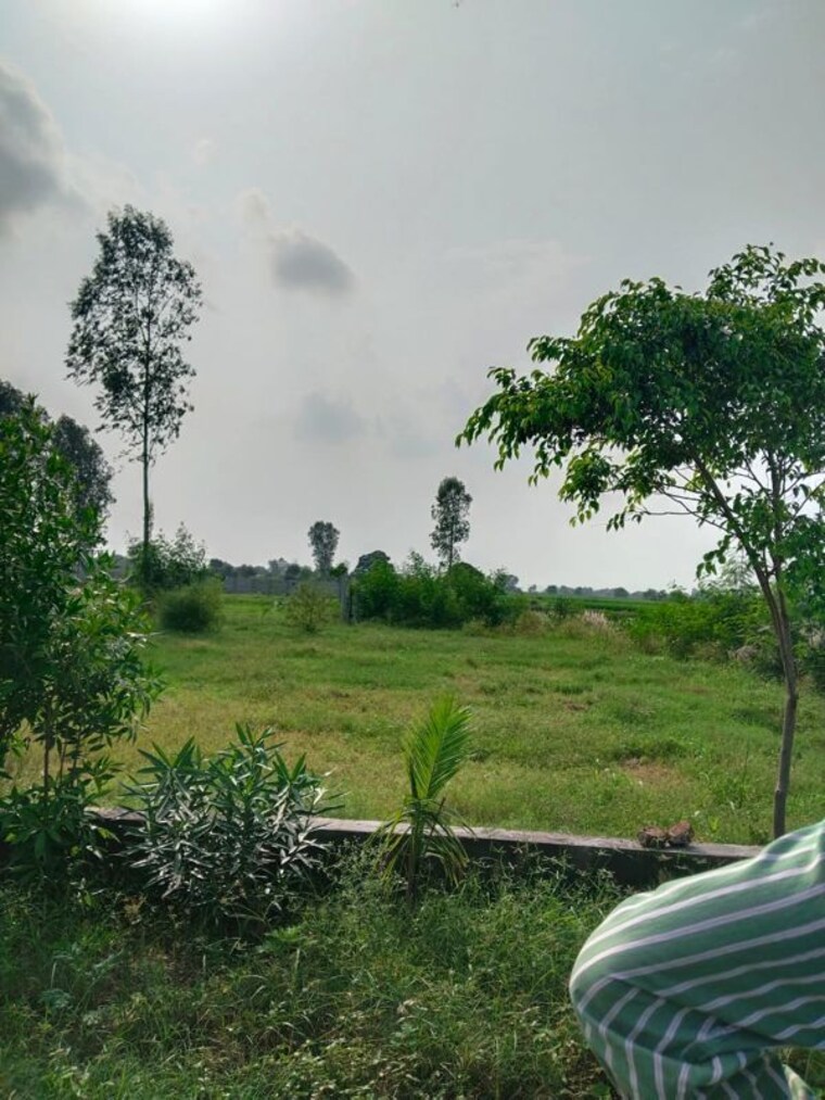 undefined, amolik-aster-woods  101 Sq.Yd. Plot In Sector 98 Faridabad 10098651