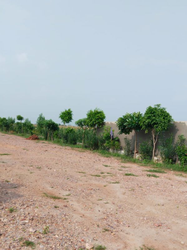 Plot For Sale in Amolik Aster Woods