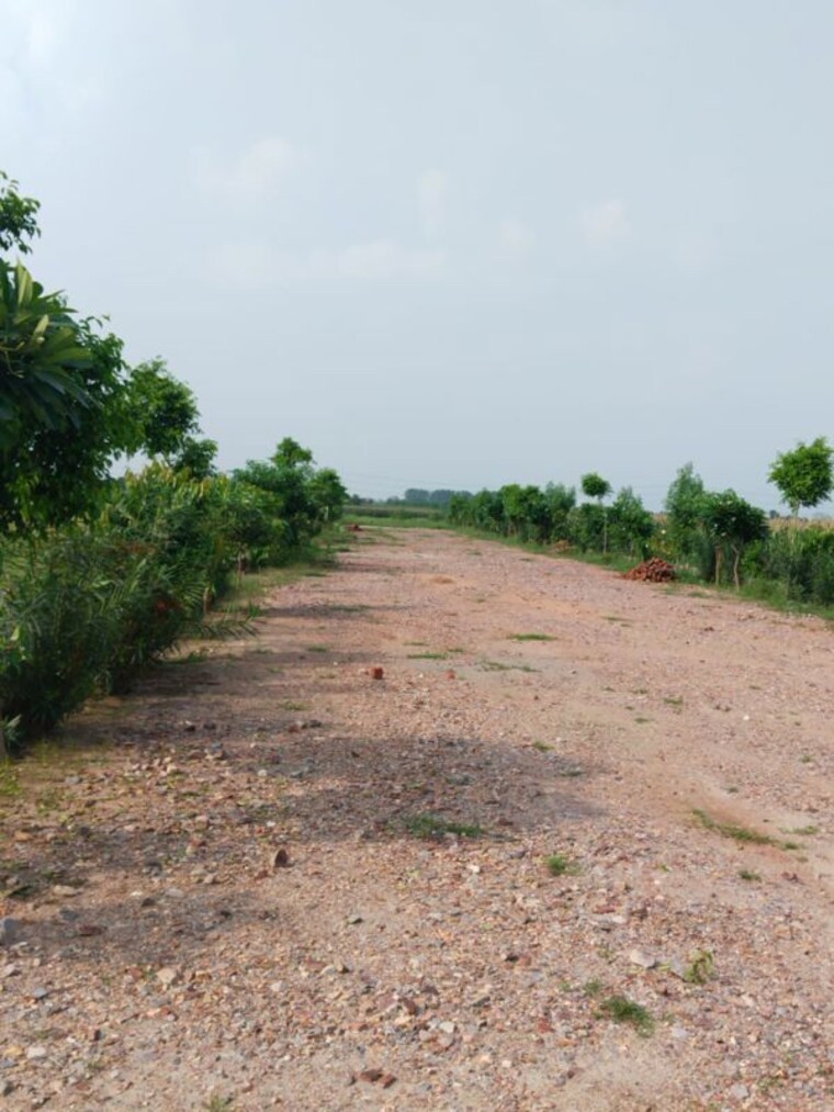 undefined, amolik-aster-woods  101 Sq.Yd. Plot In Sector 98 Faridabad 10098651