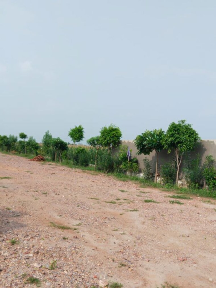 undefined, amolik-aster-woods  199 Sq.Yd. Plot In Sector 98 Faridabad 10098682