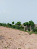 187 Sq.Yd. Plot in Amolik Aster Woods