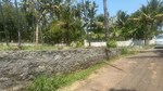 3920 Sq.Ft. Plot in Aranattukara