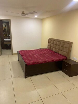 1 RK Apartment For Rent in Ambala Highway