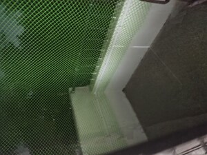 Bathroom in 1 BHK Apartment at Hadapsar – for Rent