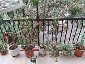 Balcony in 2 BHK Apartment at K Raheja Gardens, Wanowrie – for Rent