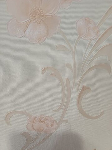  Plot For Sale in Sector 66 B