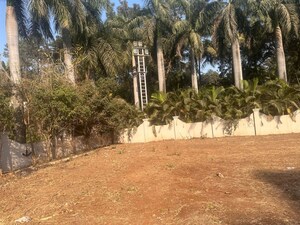 Land For Rent in Rahatani