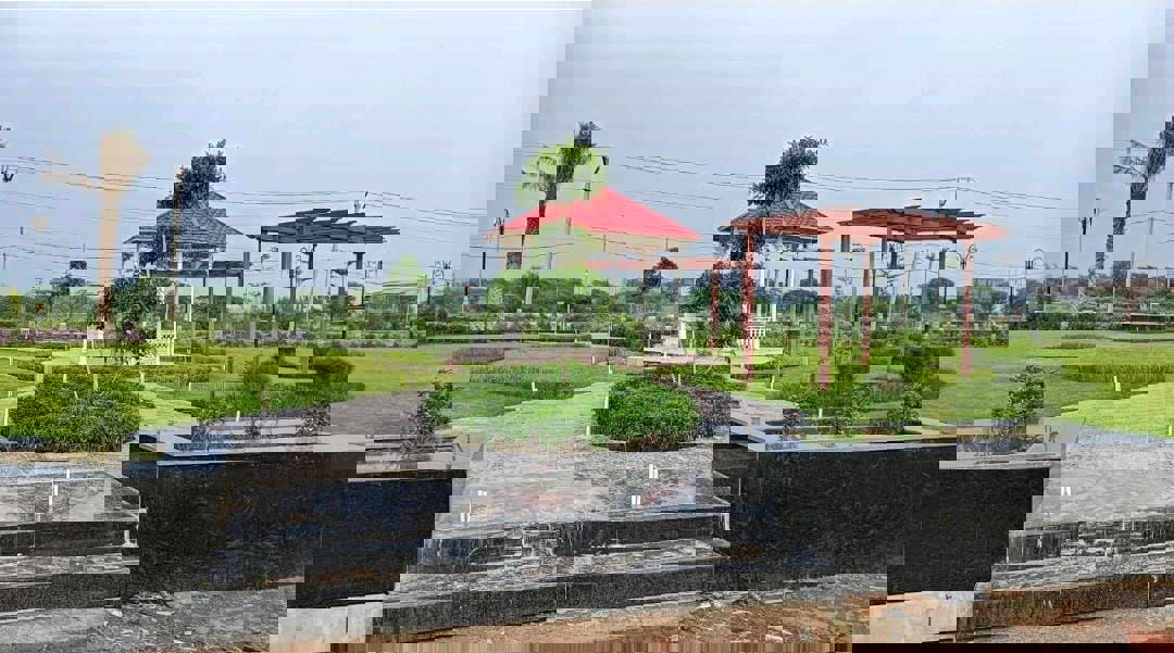  Plot – Exterior View View at Sector 12 Panchkula - for Sale