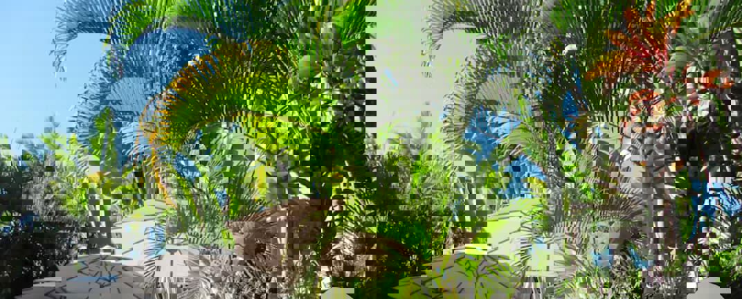 3 BHK + Store Room 2450 Sq.Ft. Apartment in Addela The Legacy