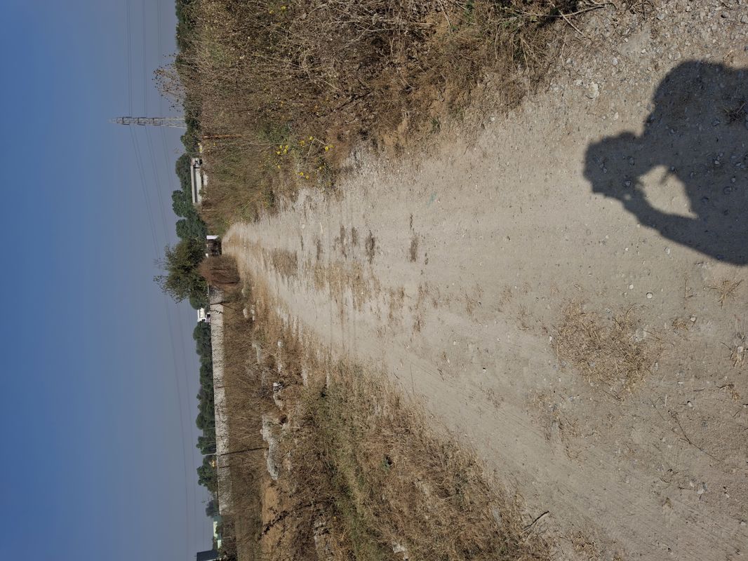 Plot For Sale in New Moradabad