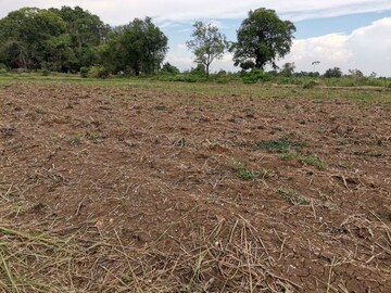 Plot Area in  Plot at Mullanpur – for Sale