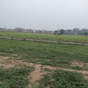  Plot For Sale in Sector 56