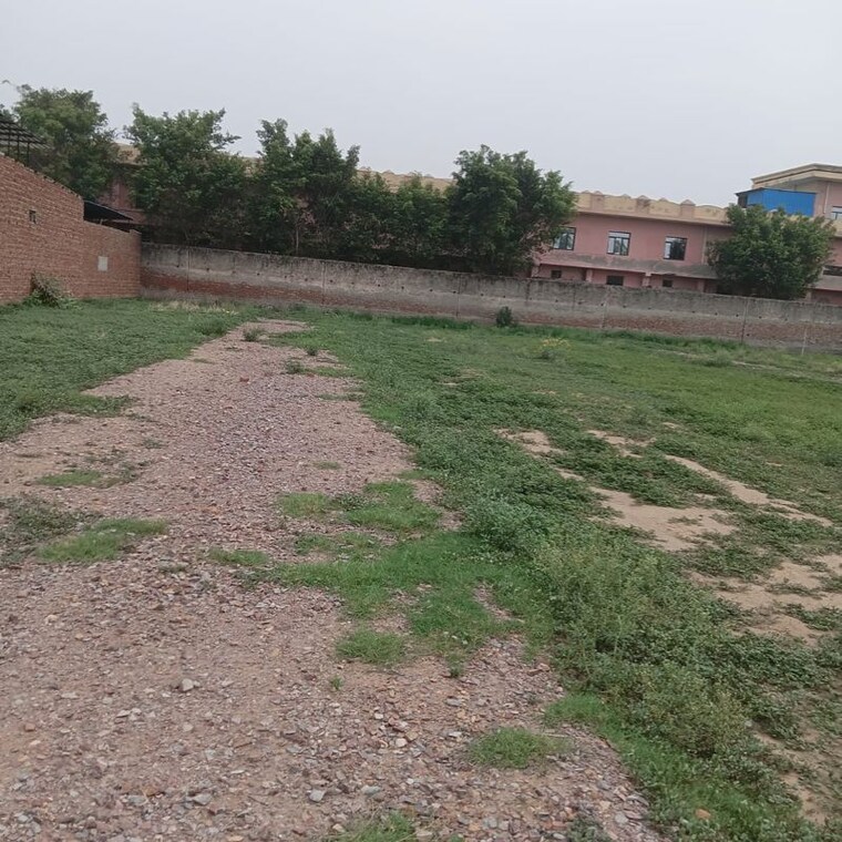 undefined, sector 56  1289 Sq.Ft. Plot In Sector 56 Faridabad 10101816