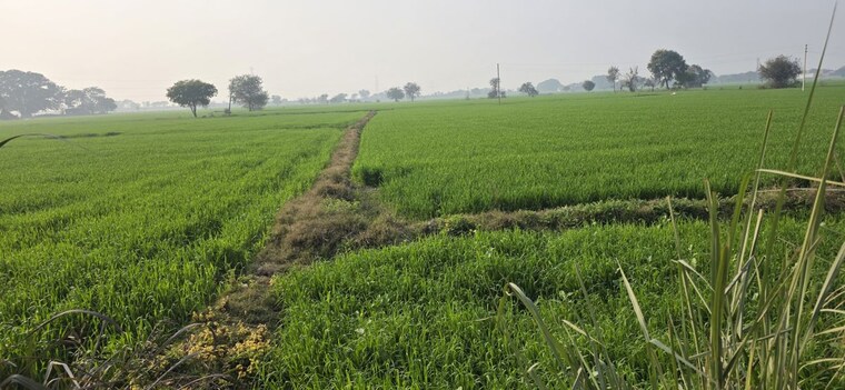 undefined, jewar  918 Sq.Yd. Plot In Jewar Greater Noida 10101817