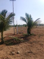 242 Sq.Yd. Plot in Yacharam