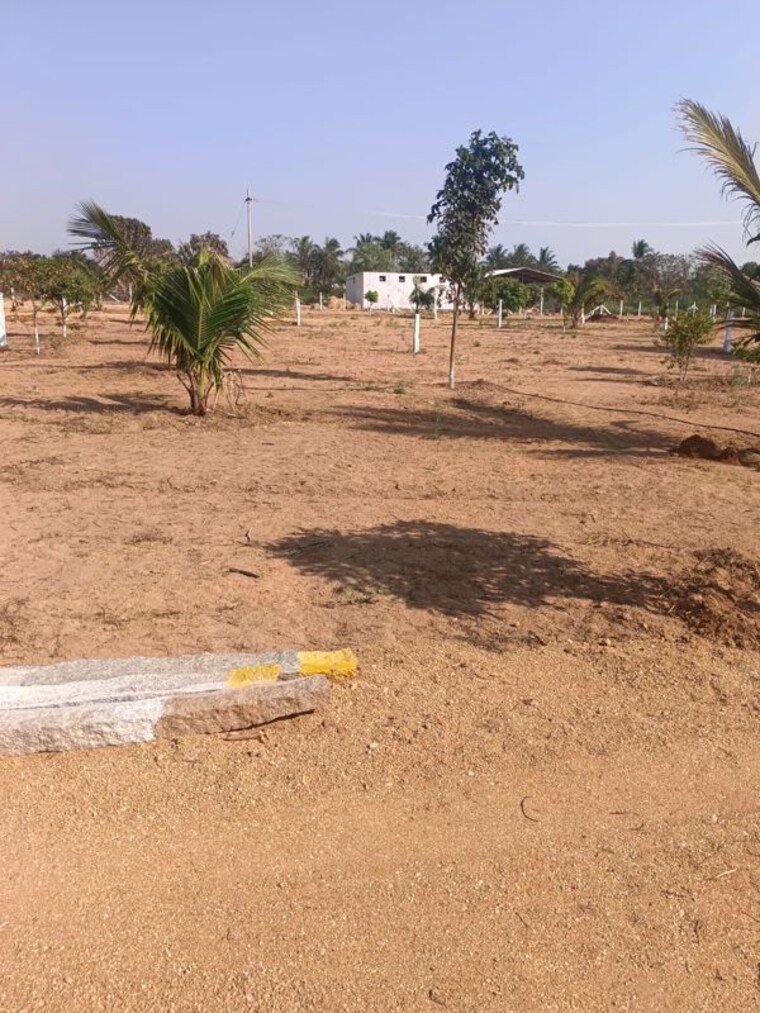 Exterior View, ibrahimpatnam  121 Sq.Yd. Plot In Ibrahimpatnam Hyderabad 10102116