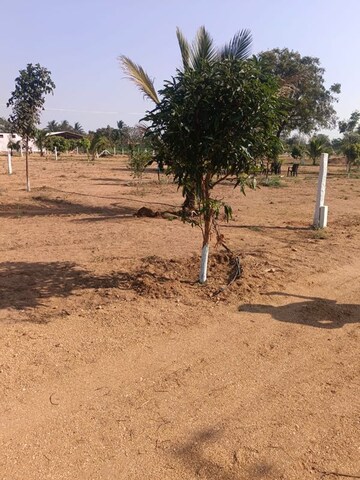  Plot – Exterior View View at Ibrahimpatnam - for Sale