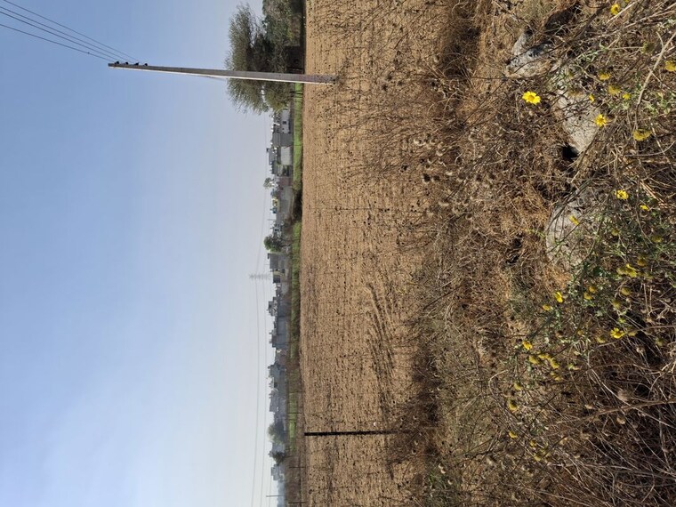 undefined, kothur  301 Sq.Yd. Plot In Kothur Hyderabad 10102221
