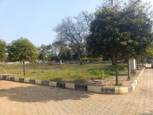 Plot Area in  Plot at Shadnagar – for Sale