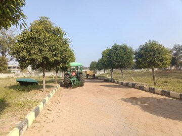 Plot Area in  Plot at Shadnagar – for Sale