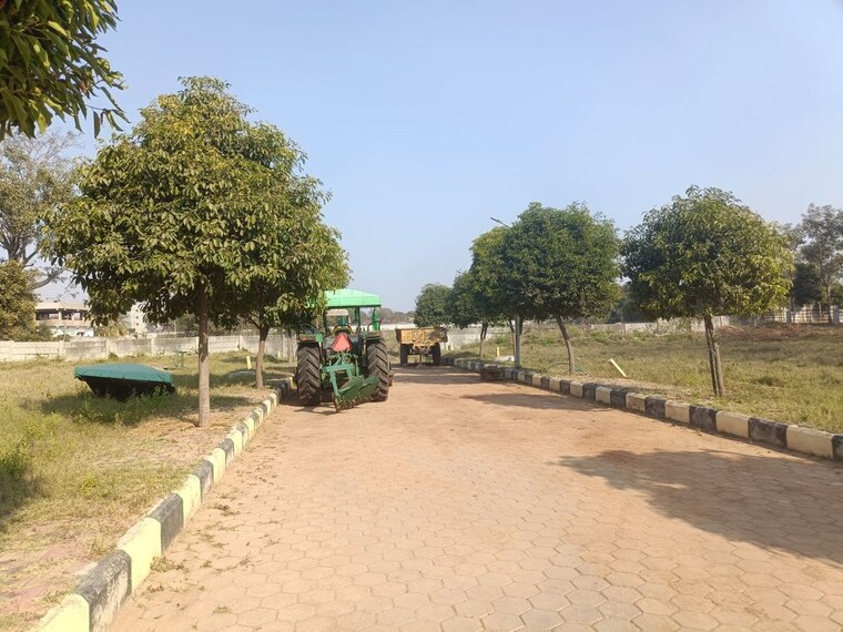 undefined, shadnagar  240 Sq.Yd. Plot In Shadnagar Hyderabad 10102376