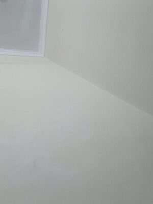  Plot For Sale in Sector 66 B