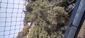 3 BHK Builder Floor – Garden View at New Rajinder Nagar - for Sale