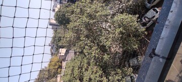 3 BHK Builder Floor – Garden View at New Rajinder Nagar - for Sale