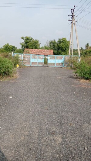   Plot at Karipatti – for Sale