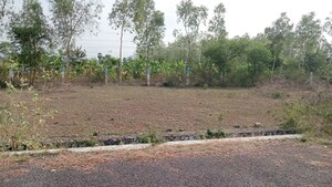  Plot For Sale in Karipatti