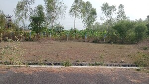 Plot Area in  Plot at Karipatti – for Sale