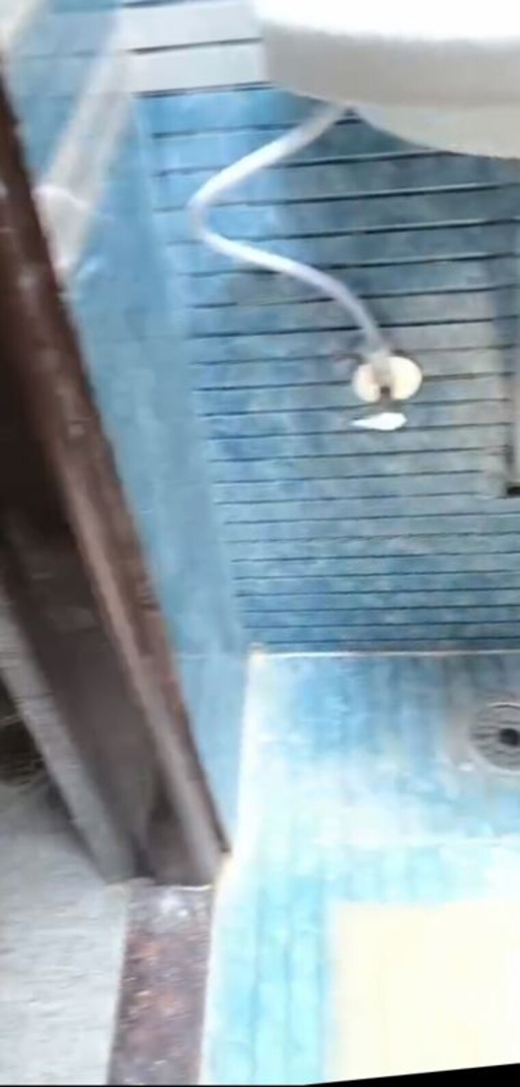 Bathroom, jalapalli 2 Bedroom 100 Sq.Yd. Independent House In Jalapalli Hyderabad 9292620