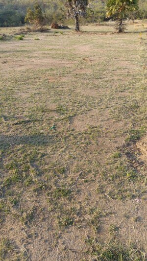  Plot – Garden View at Aliens Hub, Kadthal - for Sale
