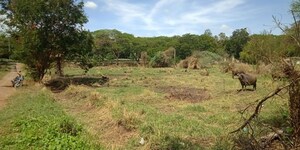  Land For Sale in Gollapudi