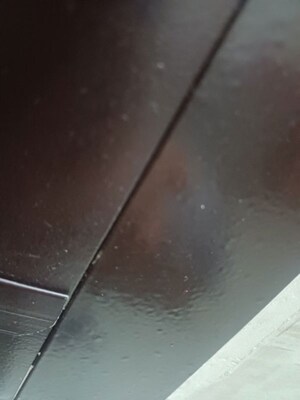  Plot For Sale in Sector 66 B