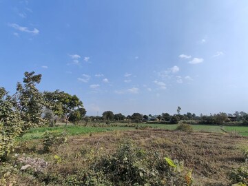 Plot Area in  Plot at Ramnagar – for Sale