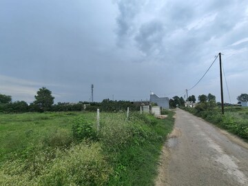 Plot Area in  Plot at Ramnagar – for Sale