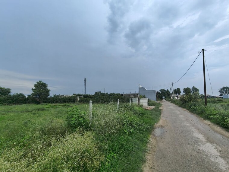 undefined, ramnagar  1000 Sq.Yd. Plot In Ramnagar Nainital 10102877