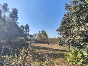 Plot Area in  Plot at Ramnagar – for Sale