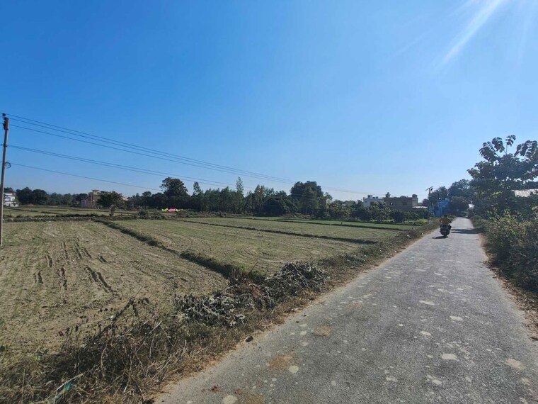 undefined, ramnagar  1000 Sq.Ft. Plot In Ramnagar Nainital 10080162