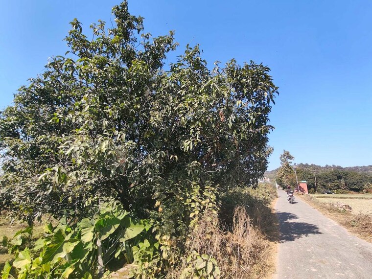 Garden, ramnagar  1000 Sq.Ft. Plot In Ramnagar Nainital 10080162