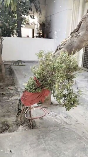 3 BHK Apartment – Exterior View View at Sector 84 - for Rent