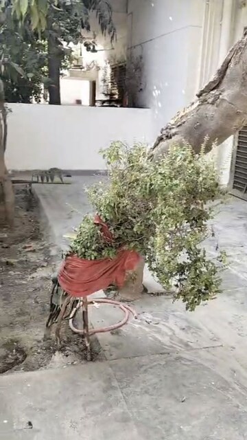 3 BHK Apartment – Exterior View View at Sector 84 - for Rent