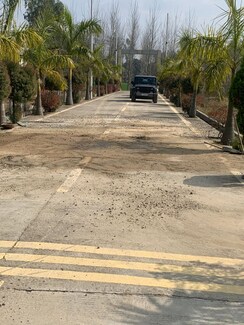 Plot For Sale in Mohabbewala