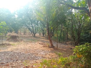 Plot Area in  Plot at Chanje – for Sale