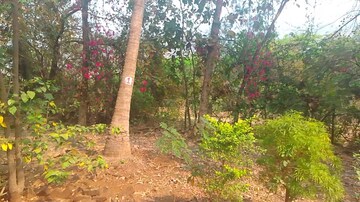 Plot Area in  Plot at Chanje – for Sale