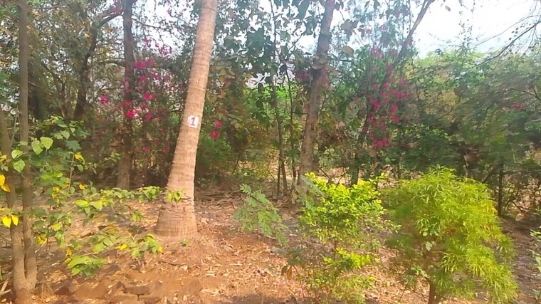 undefined, chanje  1089 Sq.Ft. Plot In Chanje Navi Mumbai 10103215